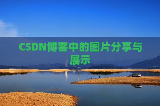 CSDN博客中的图片分享与展示